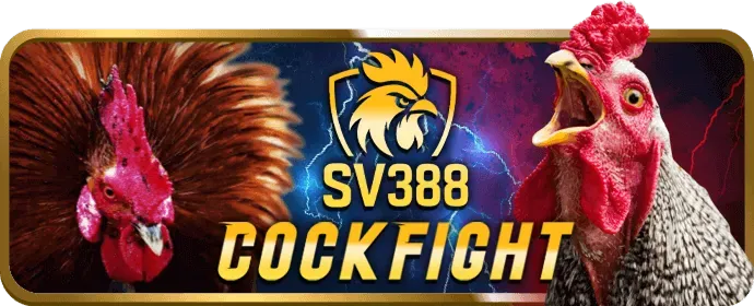 Ưu đãi chào mừng cho người chơi slot mới